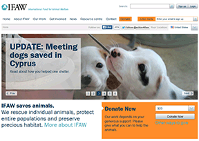 國際愛護動物基金會