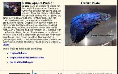 热带鱼和水族馆网站