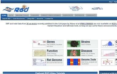 大鼠基因組數據庫