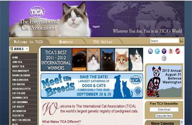 國際貓協會