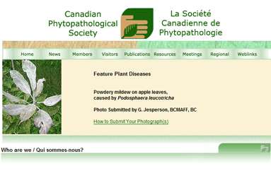 加拿大植物病理学会