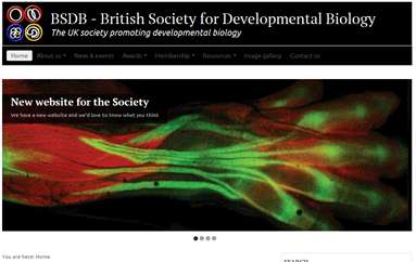 英国发育生物学协会