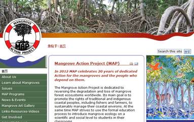 红树林行动项目