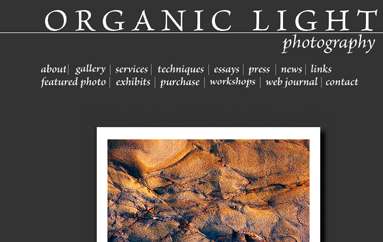 ORGANIC LIGHT摄影