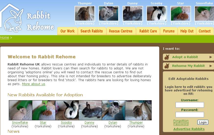 Rabbit Rehome