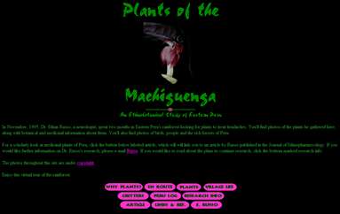 Machiguenga植物