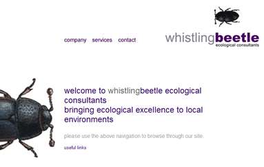 Whistling甲虫生态环境顾问