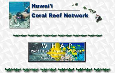 夏威夷珊瑚礁网