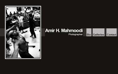 Amir H. Mahmoodi