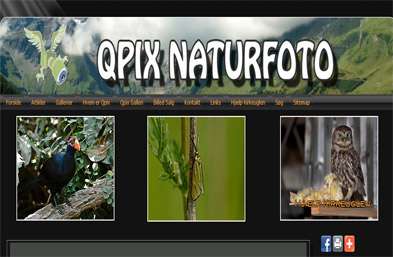 Qpix自然相册