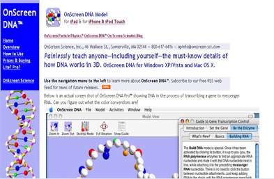 在线DNA模型