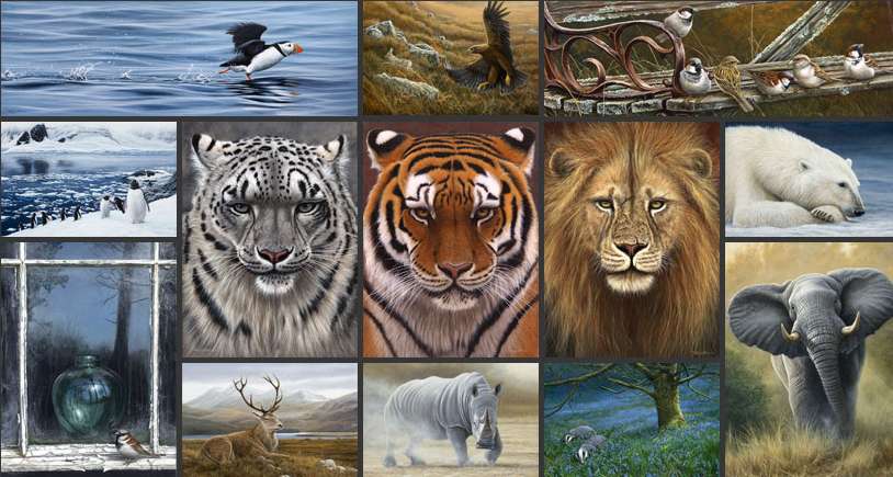 野生动物艺术家杰米·保罗