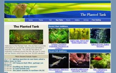 The Planted Tank