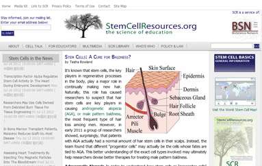 干细胞资源